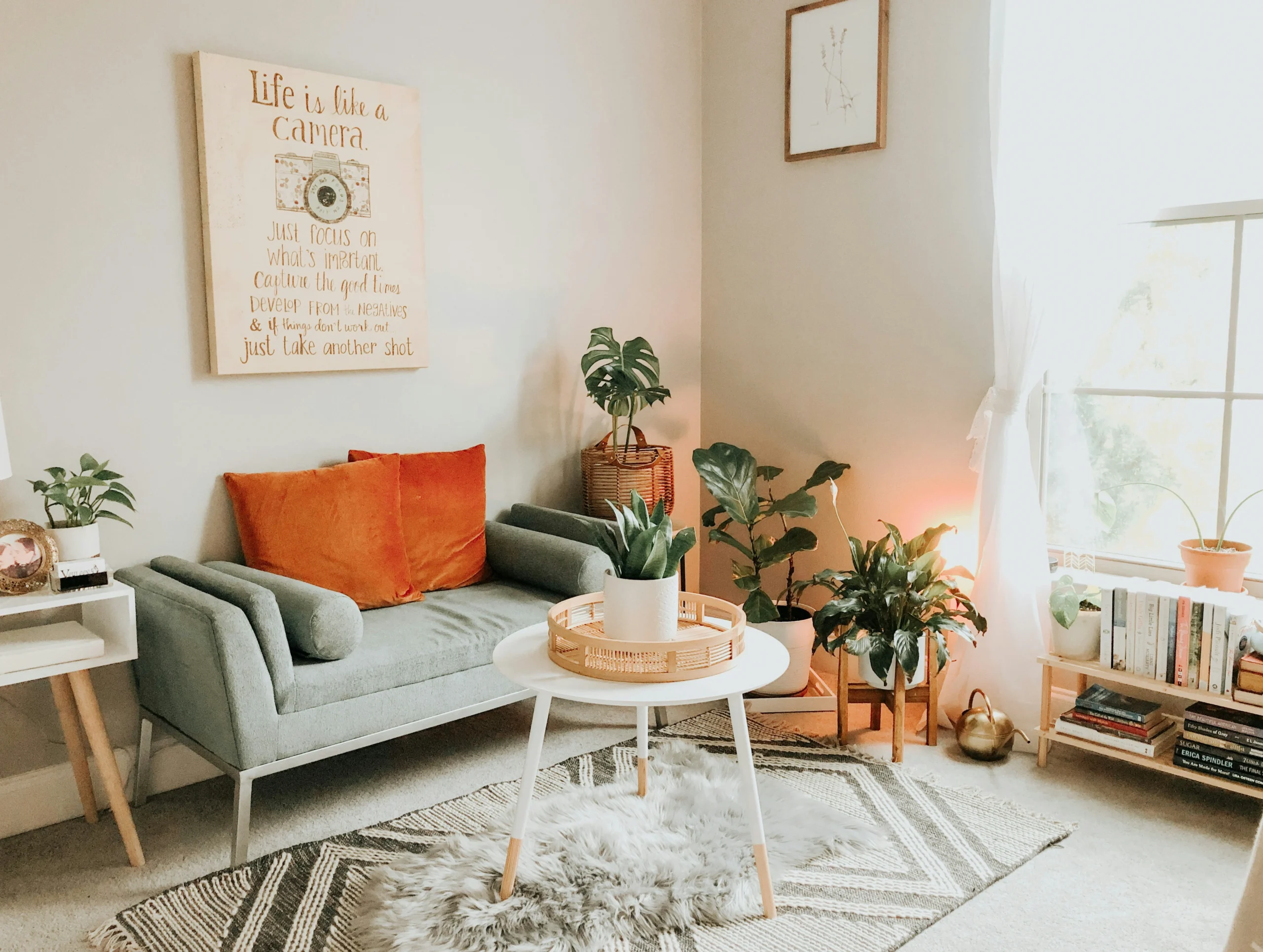 What Is the Most Used Color for a Living Room