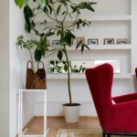 Accessories Ideas for Living Room