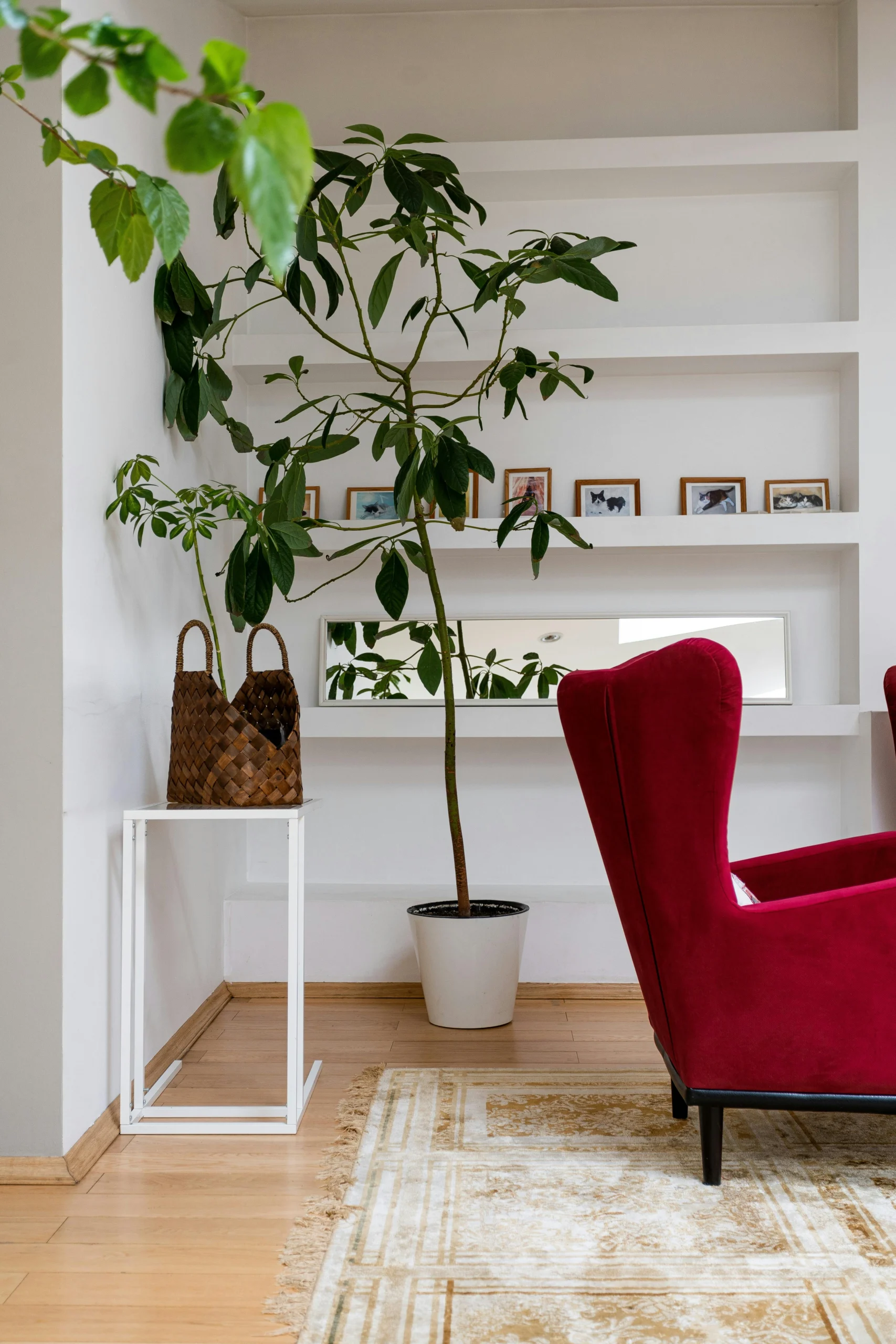 Accessories Ideas for Living Room