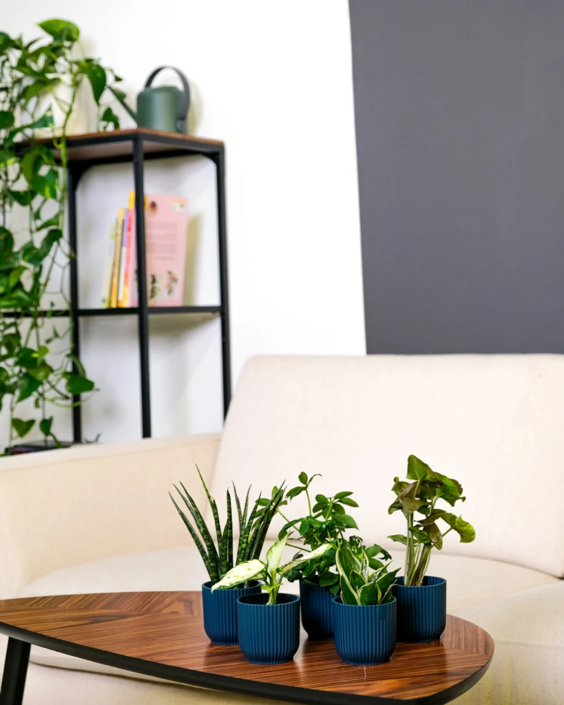 Home Decor Inspiration