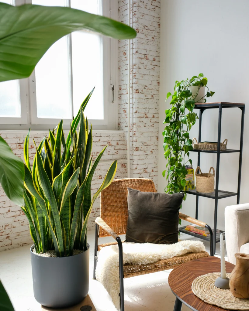 10 Inspiring Home Decor Ideas, Transform Your Space Today