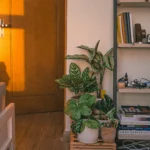 10 Living Room Designs To Inspire Your Next Project