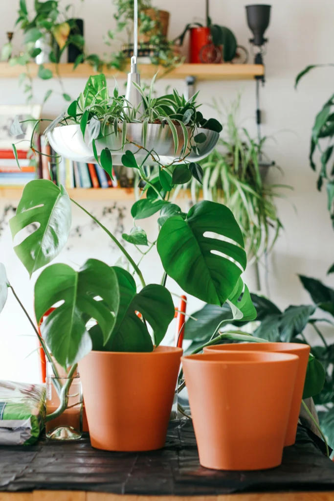 Home Decor Deep Dive My Favorite Finds & Styling Tips!