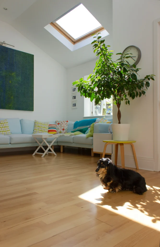 Home Inspiration Ideas