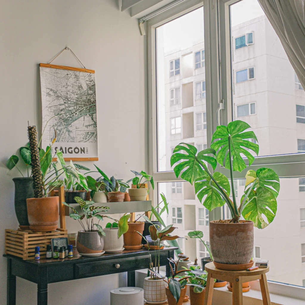 Living Room Designs