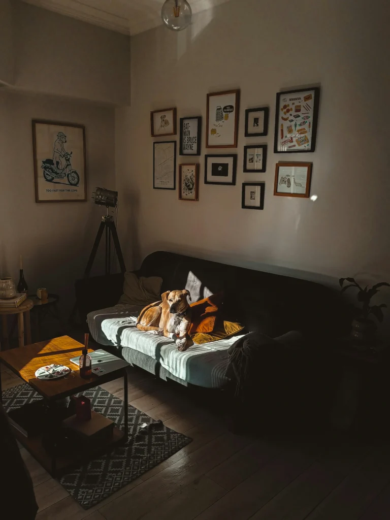 Home Inspiration