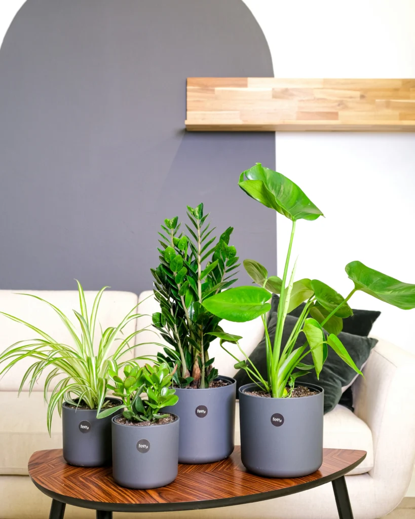 Perfect Home Decor