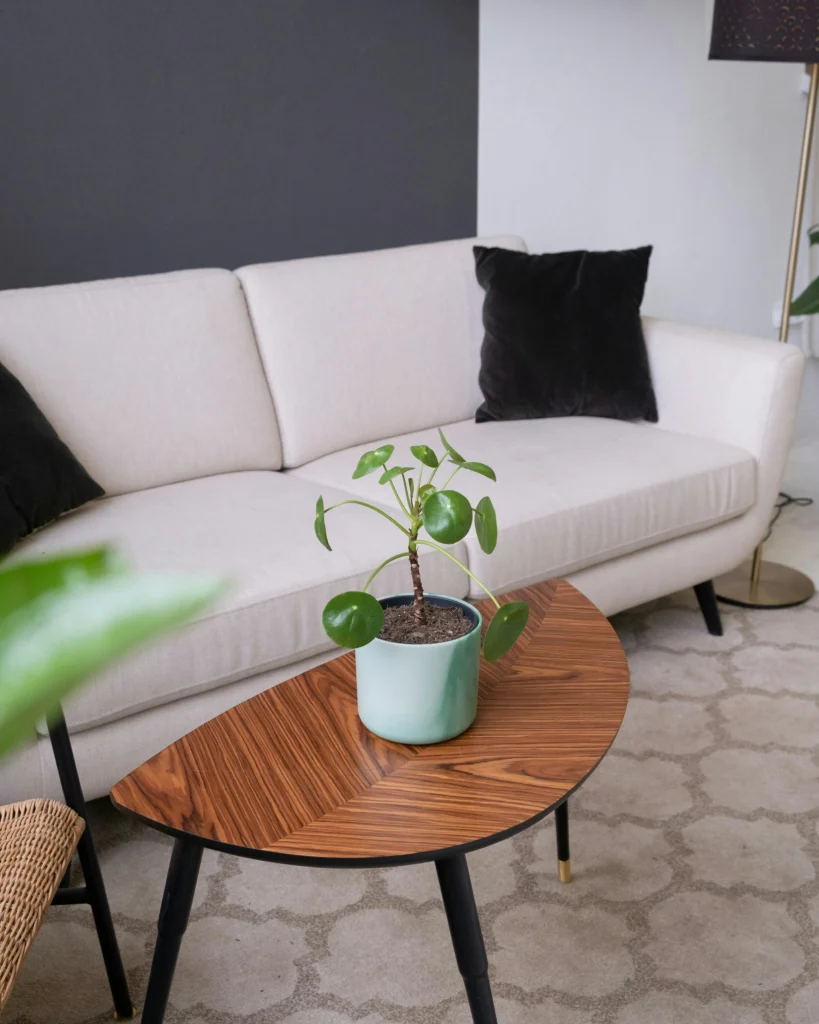 Perfect Home Decor