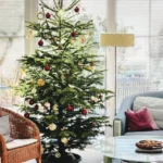 Home Sweet Home A Peek into Beautifully Designed Spaces!
