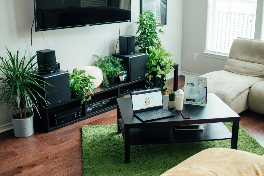 Modern Living Room Decor