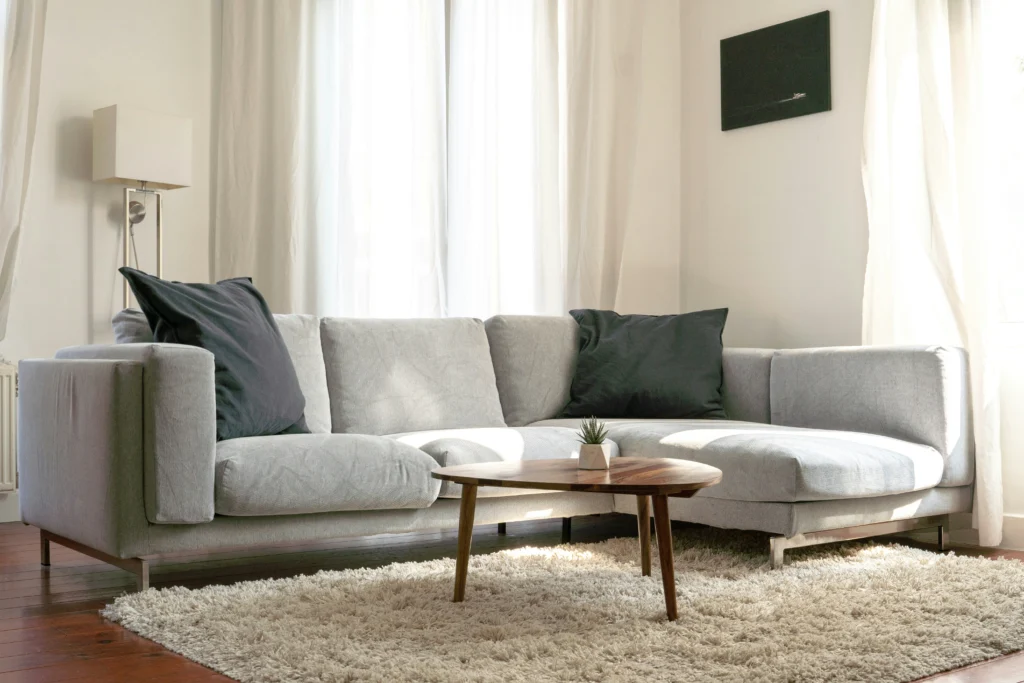 Dream Living Room