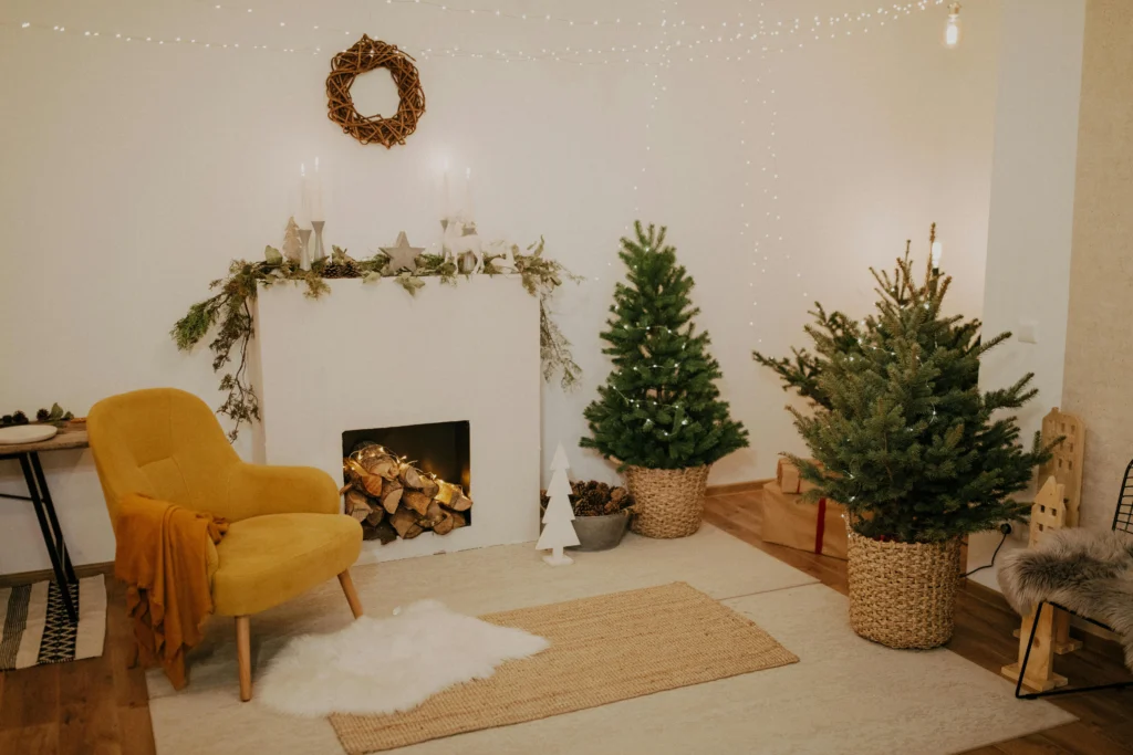 Living Room Fireplace Ideas