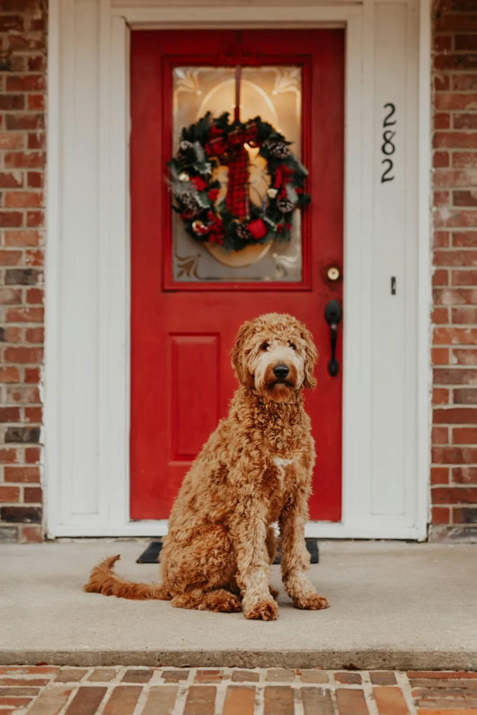 Warm & Festive 15 Cozy Christmas Door Decorations