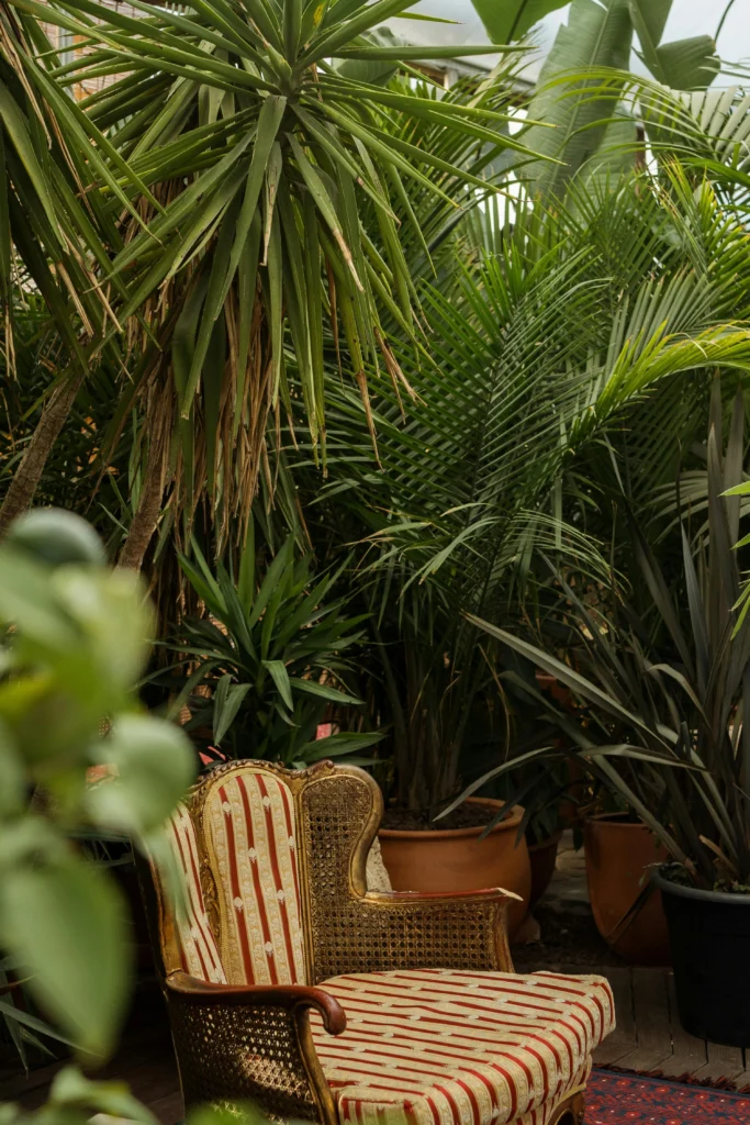 Garden, Patio & Deck Styling Ideas for the Ultimate Outdoor Vibe