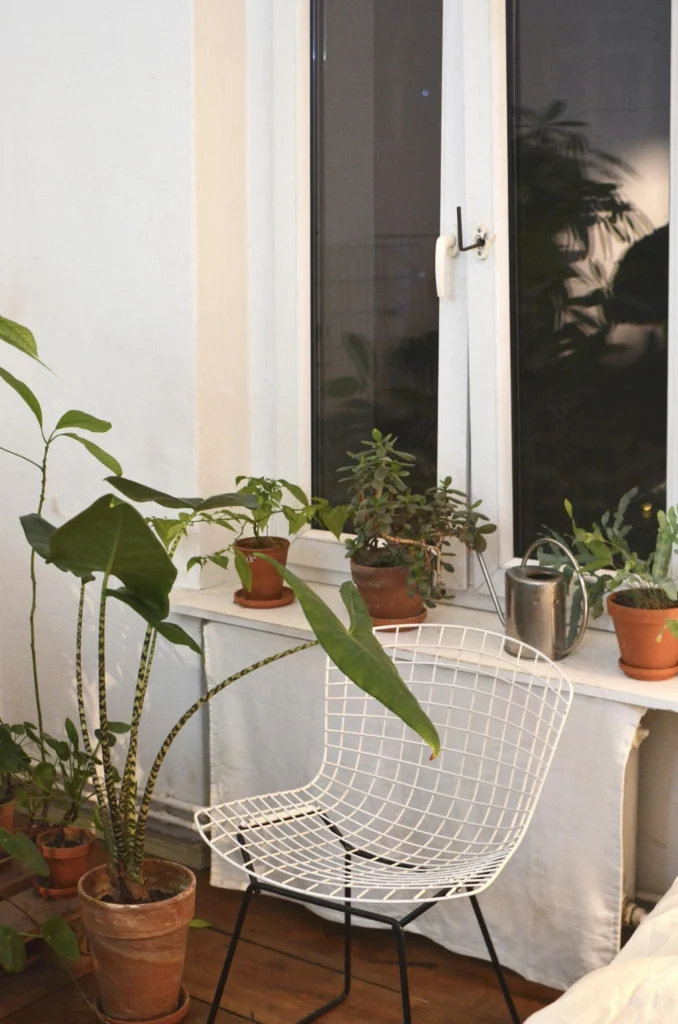 Cozy Outdoor Vibes to Make Your Patio Feel Like a Retreat