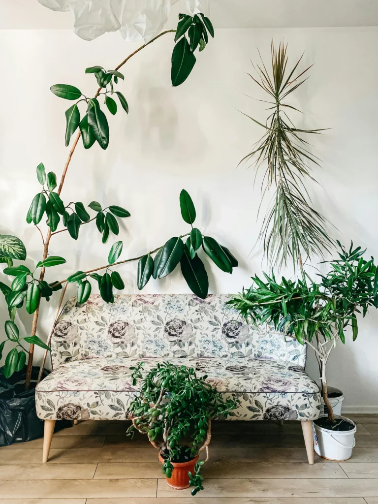 10 Creative Ways to Decorate with Indoor Plants