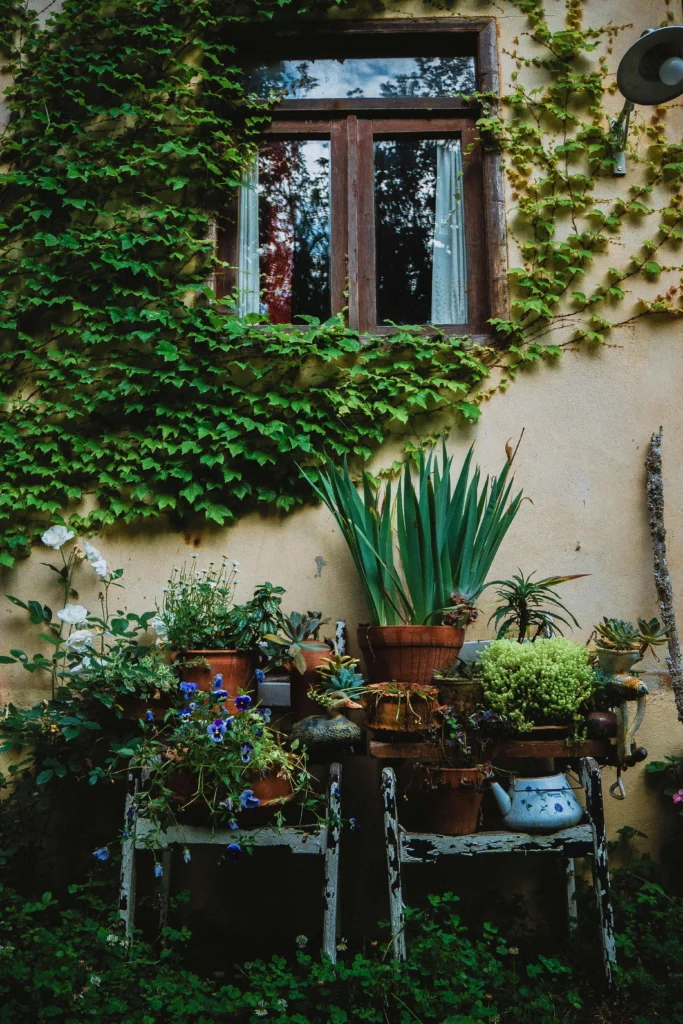 10 Creative Ways to Decorate with Indoor Plants