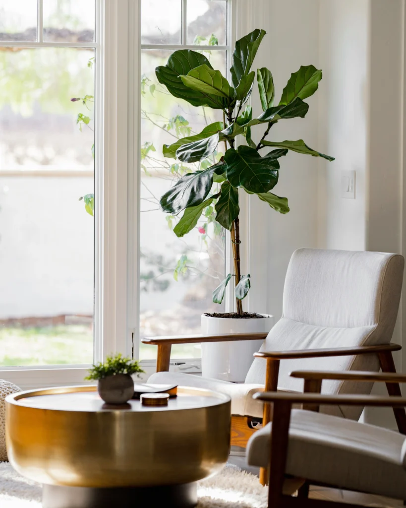 Modern Houseplant Inspiration Green Decor Made Easy