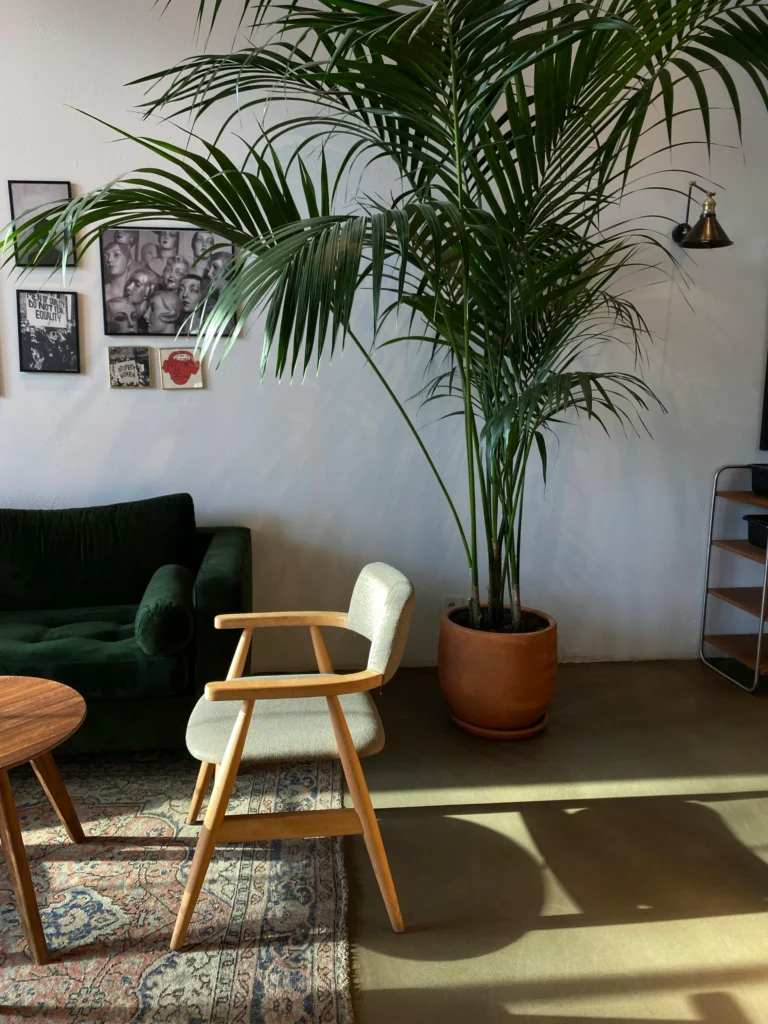 11 Creative Ways to Decorate Your Reading Nook