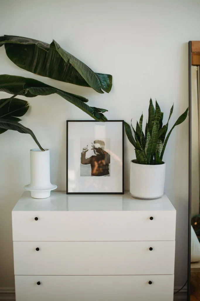 10 Creative Ways to Decorate with Indoor Plants