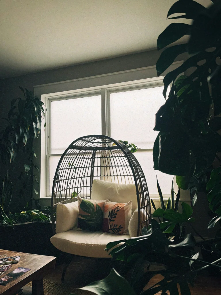 Beautiful Ways to Style Your Home with Indoor Plants