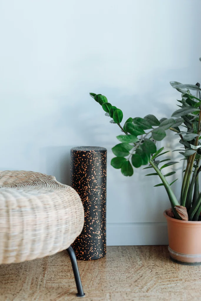 10 Creative Ways to Decorate with Indoor Plants