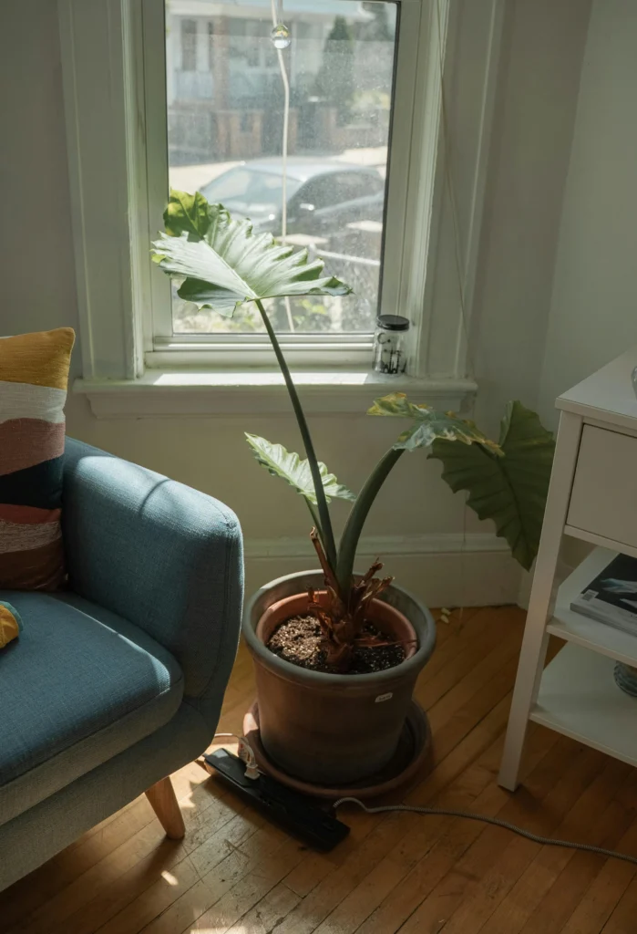 12 Unique Reading Nook Ideas for Every Home