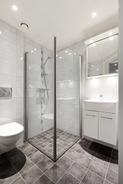 Bathroom Design Decor for Small Modern Homes