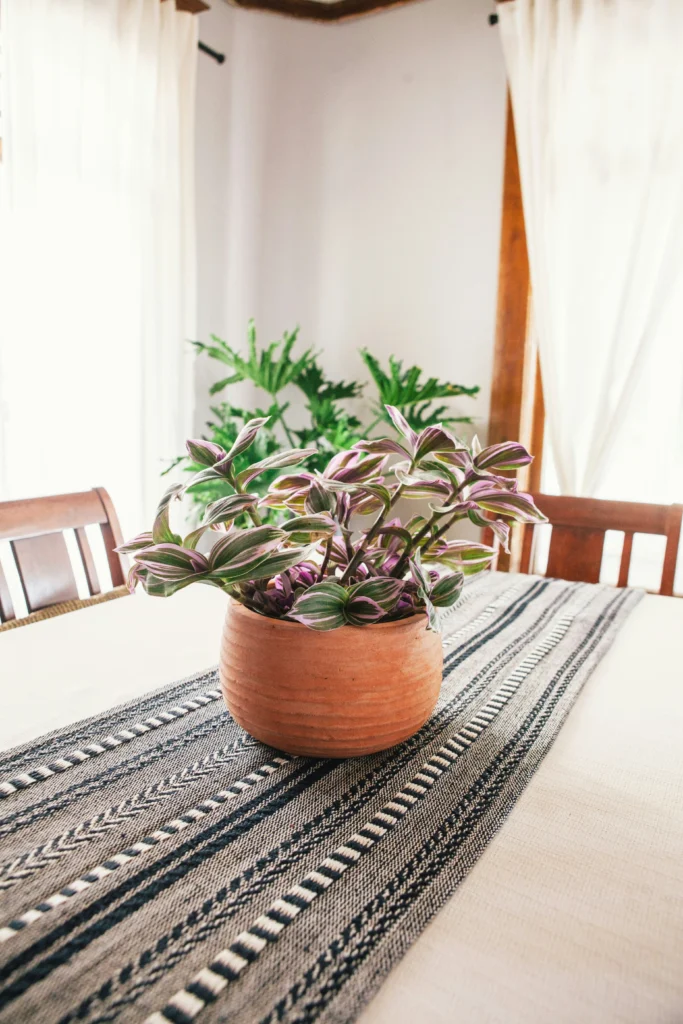 Beautiful Ways to Style Your Home with Indoor Plants