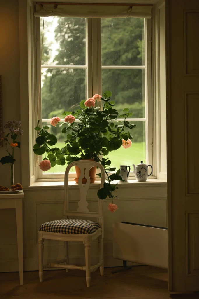 18 Stylish Houseplants for a Modern, Fresh Home