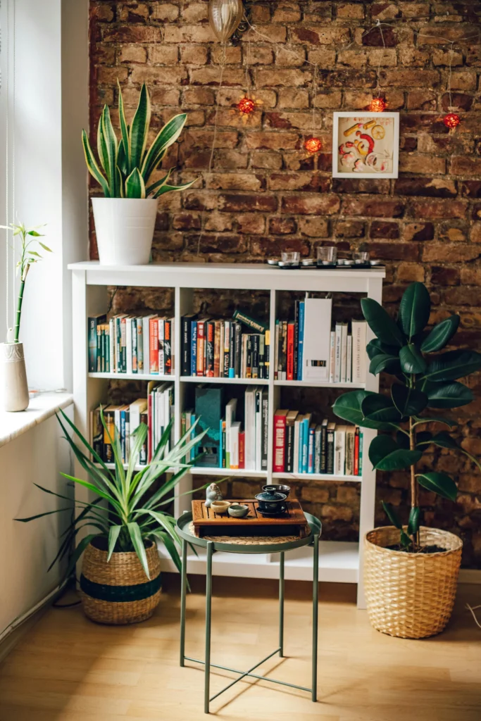 10 Plant Decor Ideas to Refresh Any Room