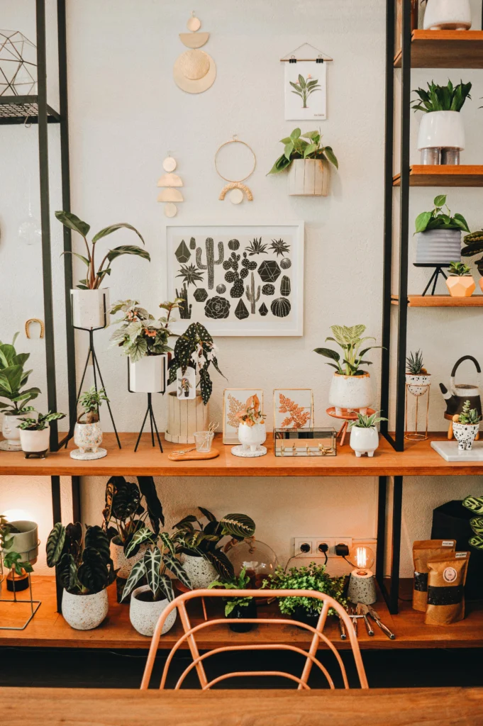 18 Stylish Houseplants for a Modern, Fresh Home