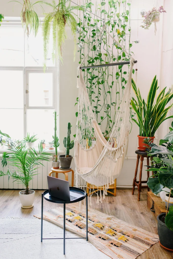 Living Decor Creative Houseplant Styling for Every Room