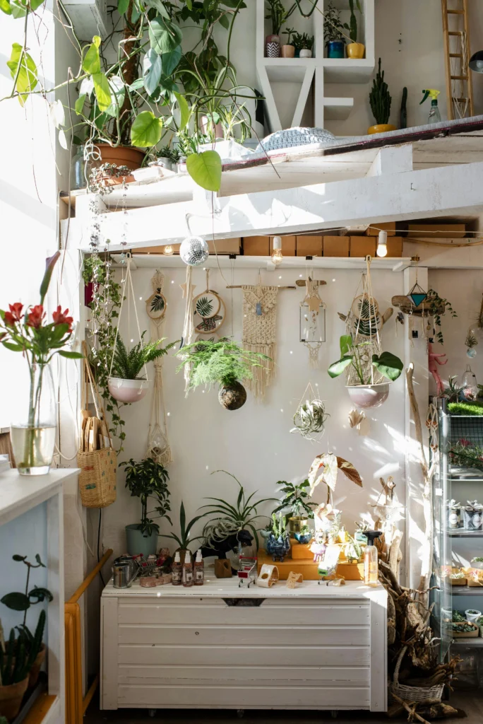 Houseplant Decor