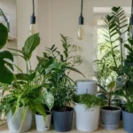 Modern Houseplant Inspiration Green Decor Made Easy