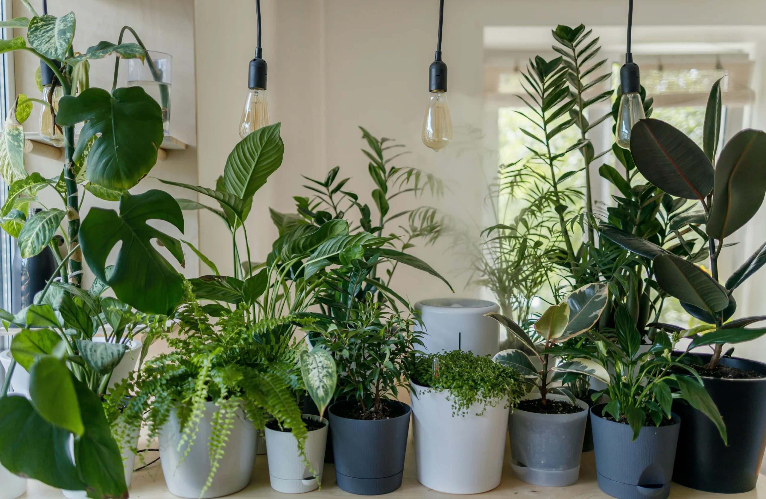 Modern Houseplant Inspiration Green Decor Made Easy