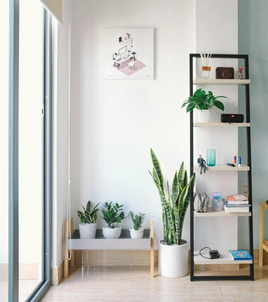 18 Stylish Houseplants for a Modern, Fresh Home