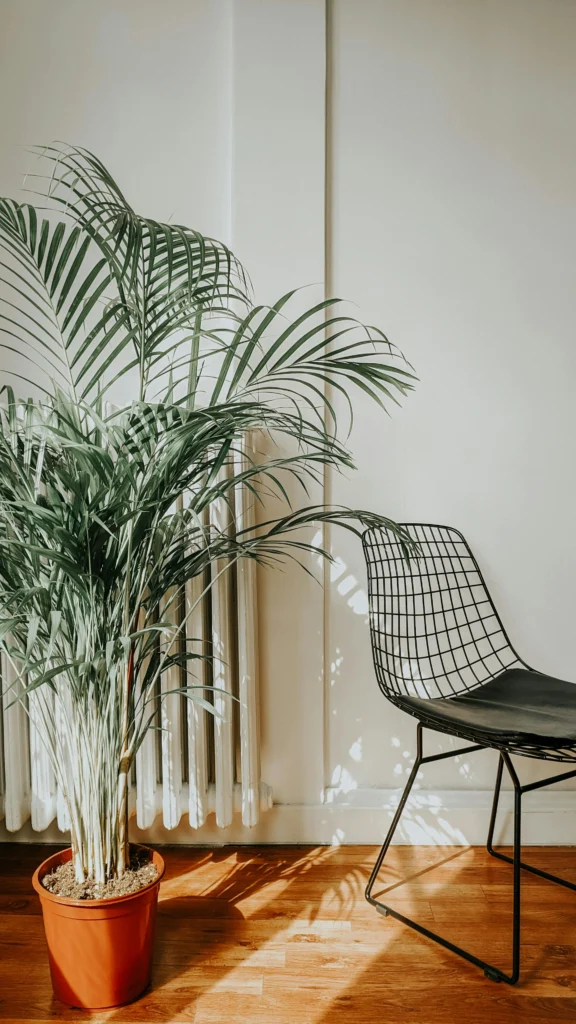 18 Stylish Houseplants for a Modern, Fresh Home