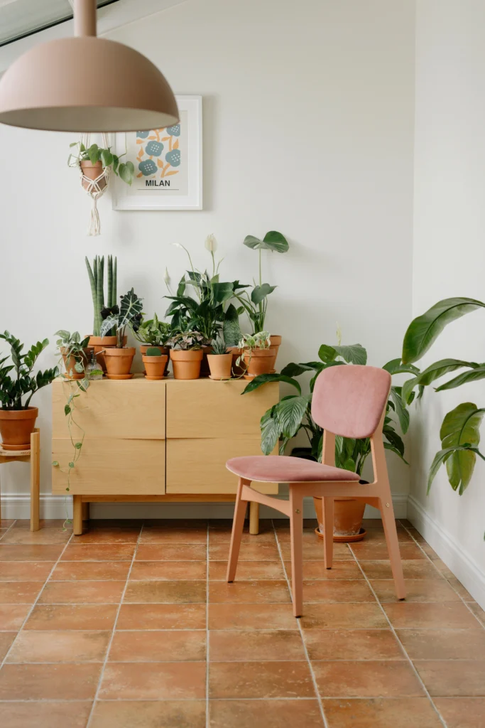 18 Stylish Houseplants for a Modern, Fresh Home