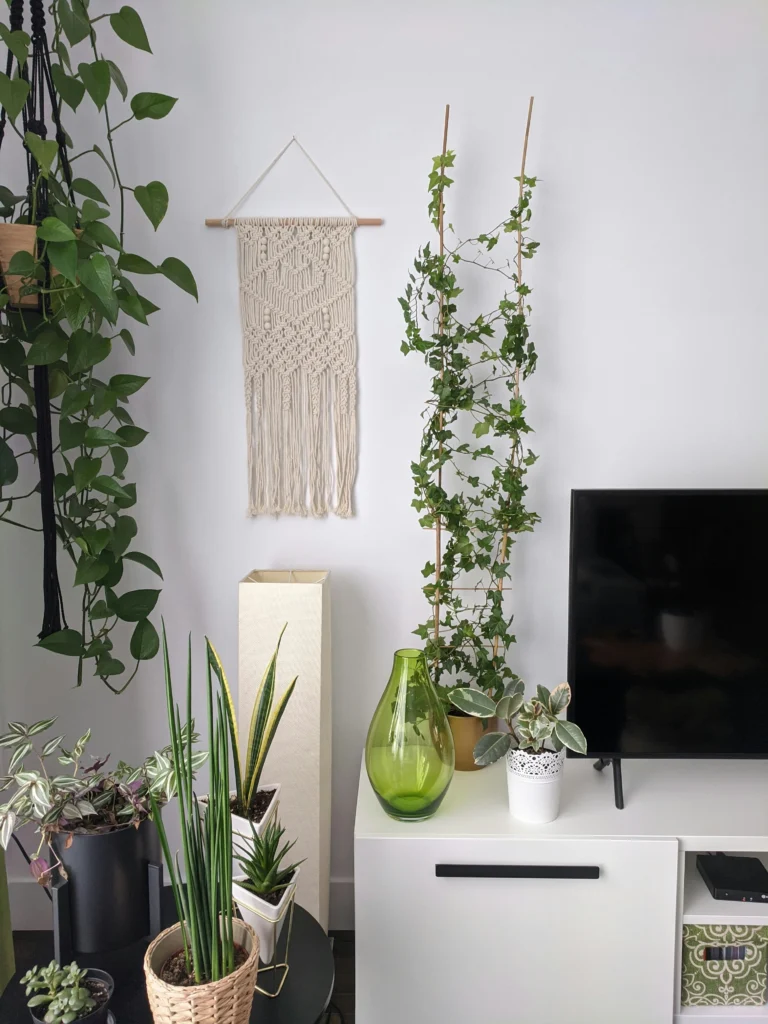 Beautiful Ways to Style Your Home with Indoor Plants