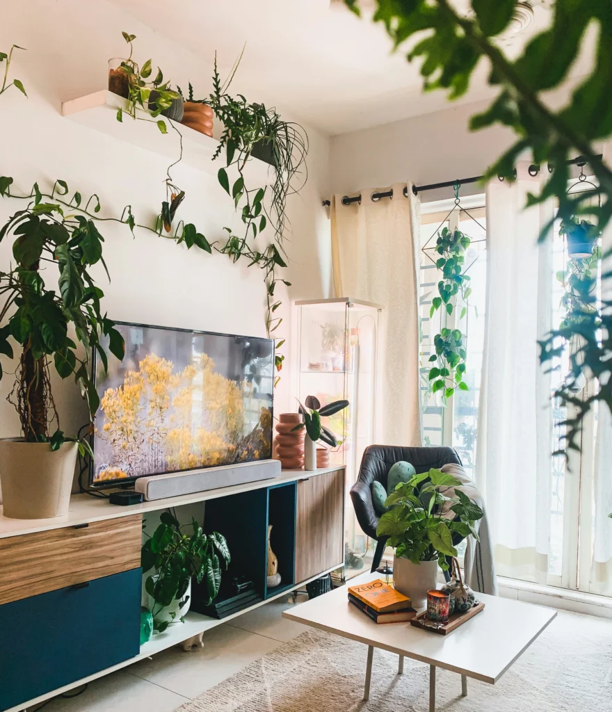 Beautiful Ways to Style Your Home with Indoor Plants