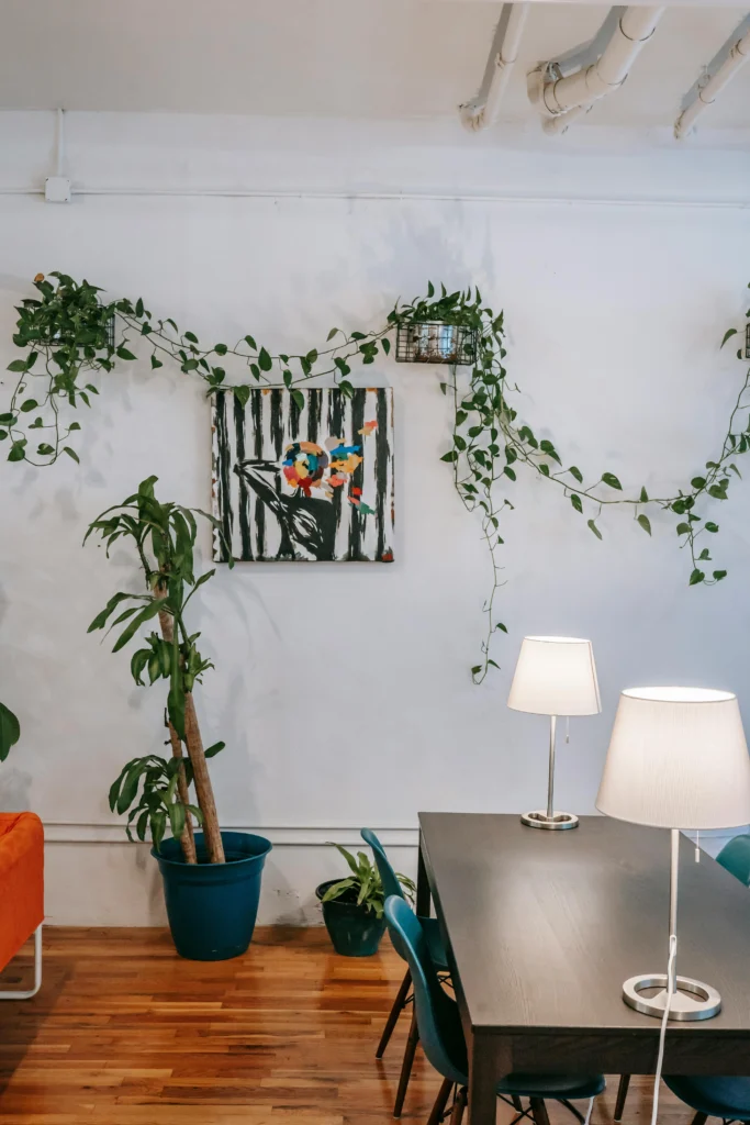 Beautiful Houseplants