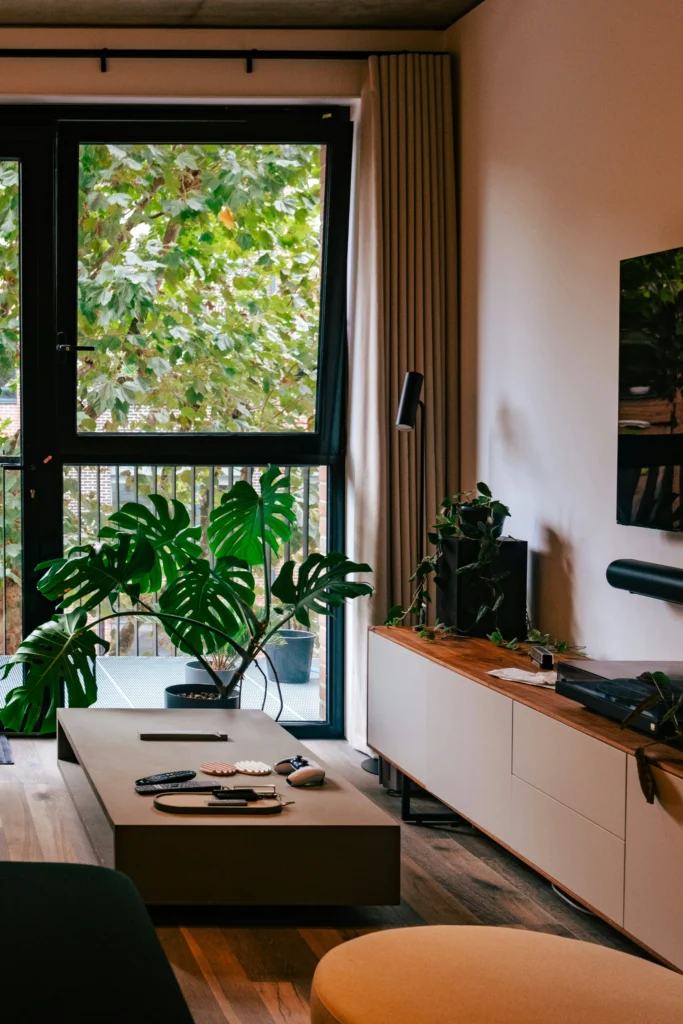 Beautiful Ways to Style Your Home with Indoor Plants