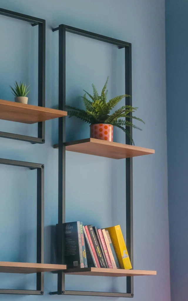 Unique Shelving Ideas