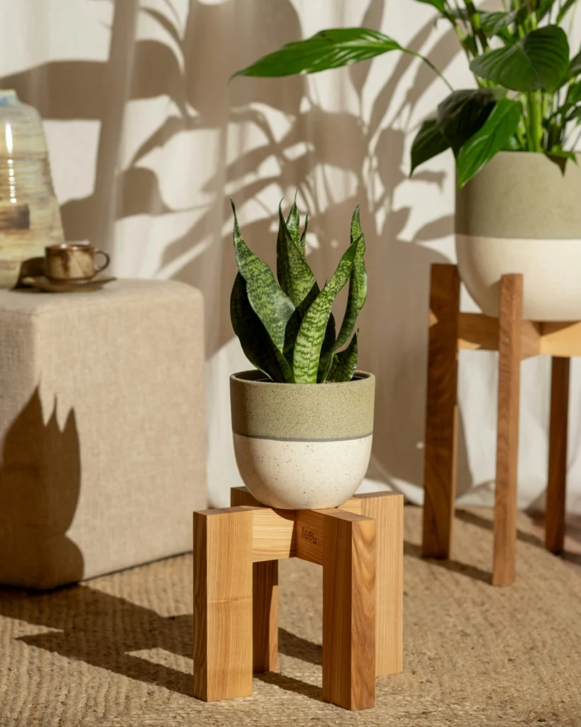 Best Plant Stand Ideas For Small Space Living
