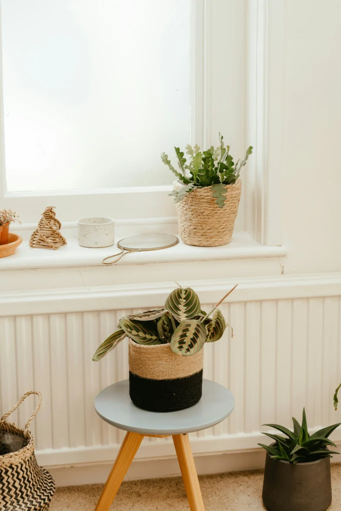 Stylish Plant Stand Ideas For Every Home Decor