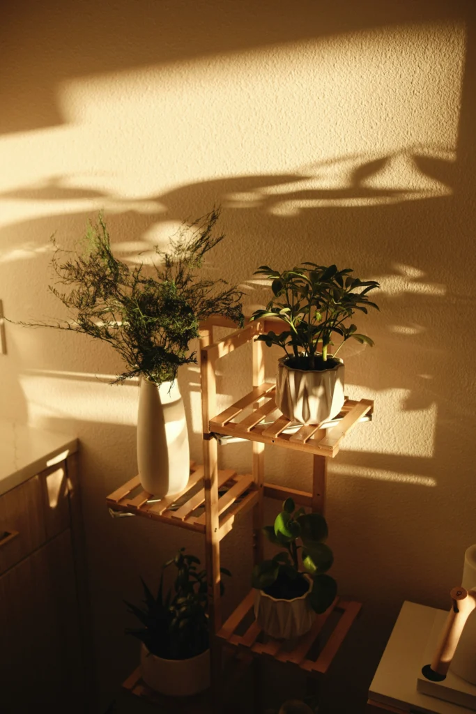 Plant Stand Ideas
