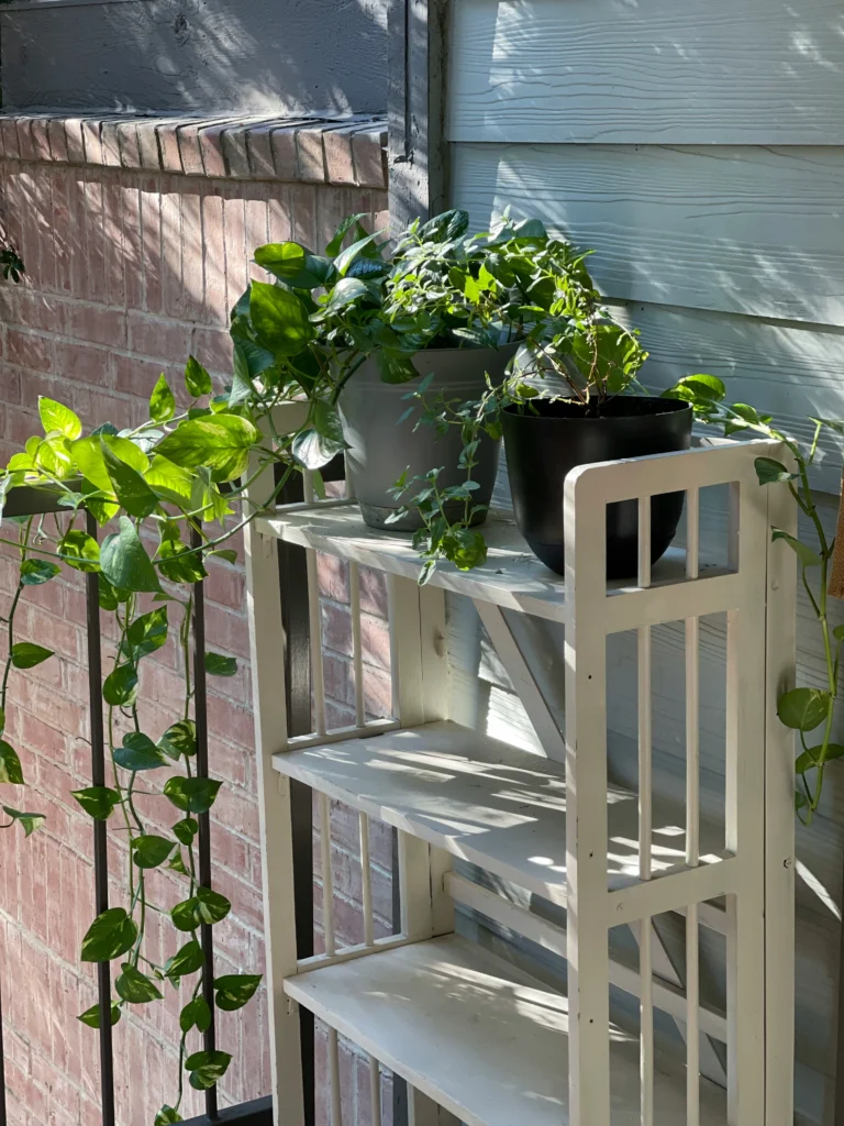 Creative Plant Stand Ideas 