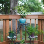 10 Brilliant Plant Stand Ideas to Refresh Your Home