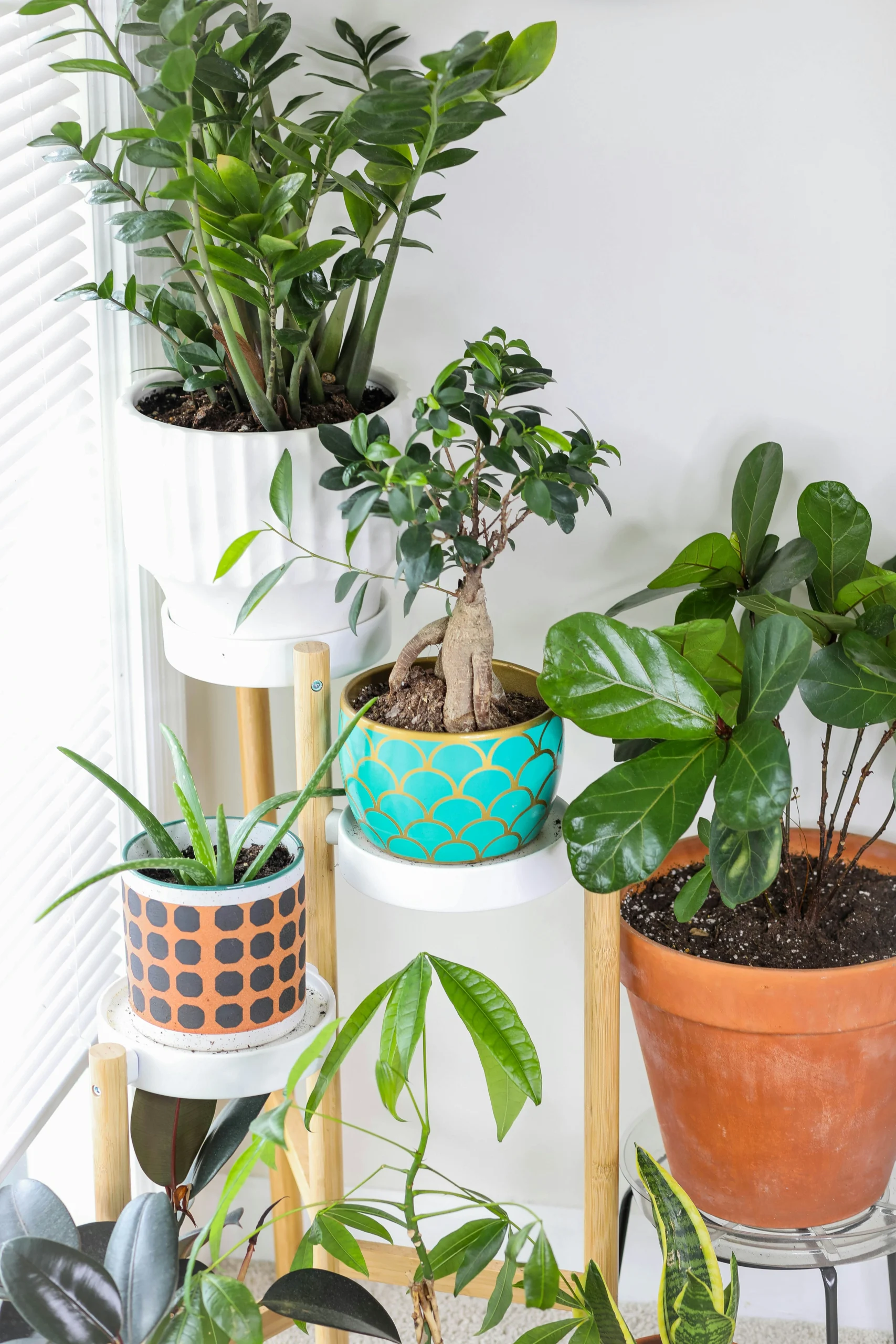 10 Modern Plant Stand Ideas To Upgrade Your Home